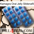 Kamagra Oral Jelly Sildenafil viagra2